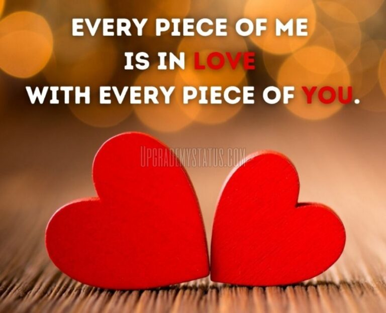 190+Love Status Written In English Best Love Captions For WhatsApp Instagram Facebook