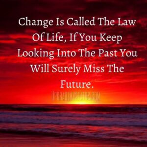 Updated 190+ Best Life Status In English For | WhatsApp | Instagram ...