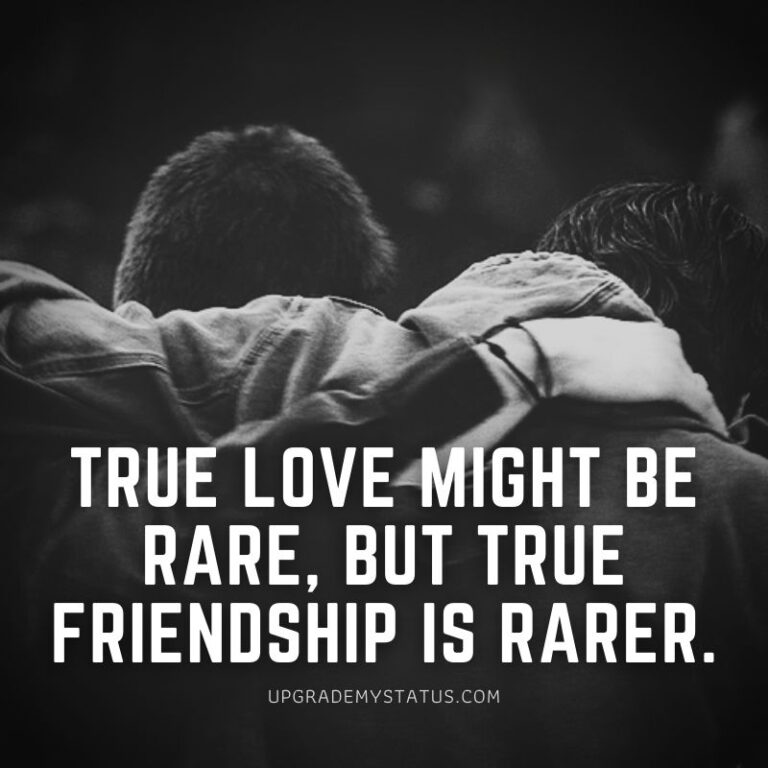 110 New Updated Friendship Status For WhatsApp Instagram