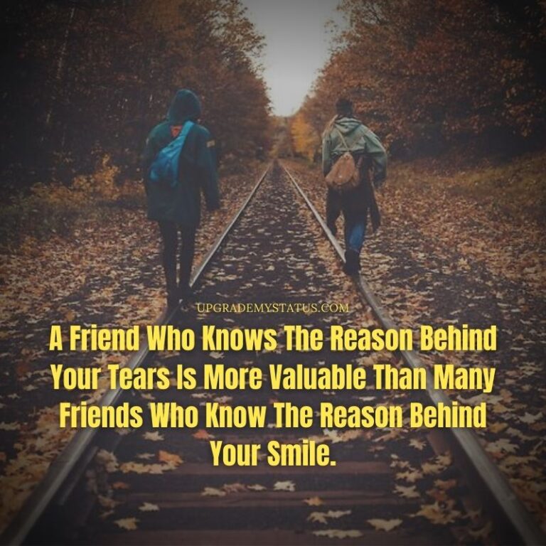 110 New Updated Friendship Status For WhatsApp Instagram