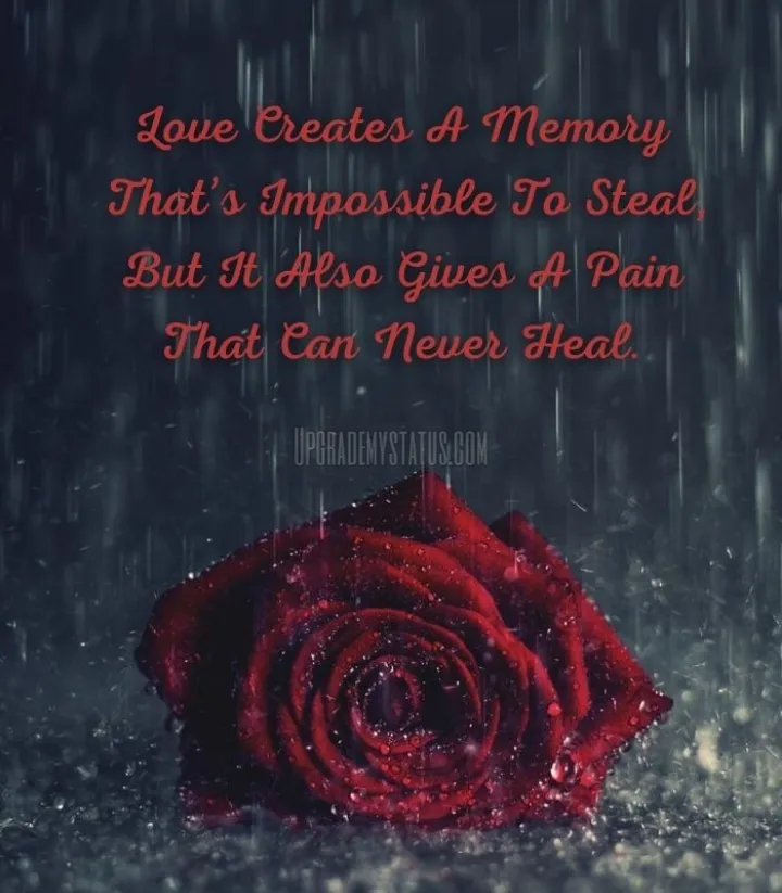 some lines written over a image of  red rose soaking in rain