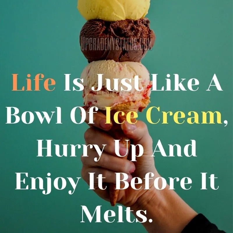 A Ice Cream In The hand Of The Person With Writing About Life Status